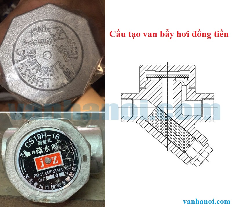 cau_tao_bay_hoi_dong_tien