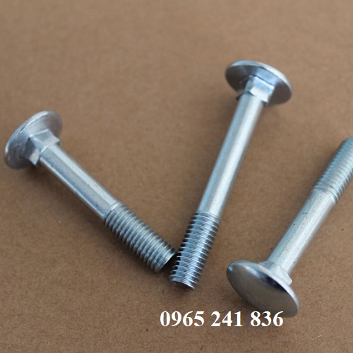 Bu lông inox đầu tròn cổ vuông.