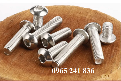Bu lông inox lục giác đầu cầu.