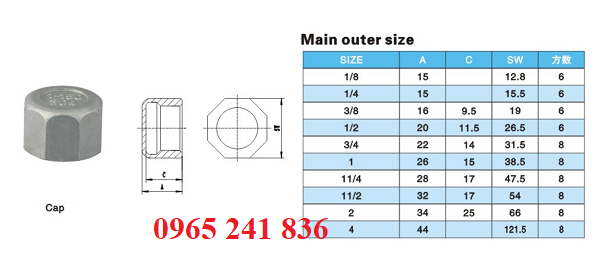 Catalogue nắp bịt ren trong cạnh inox