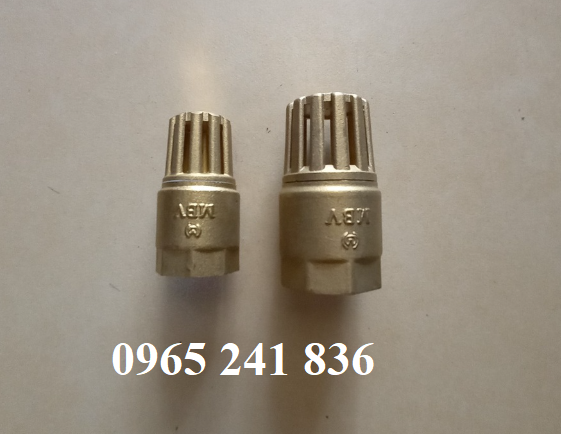 ro_bom_mbv_minh_hoa_viet_nam