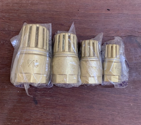 ro_bom_mi_minh_hoa_viet_nam