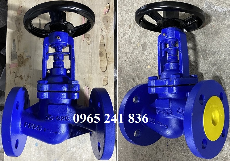van_cau_globe_valve