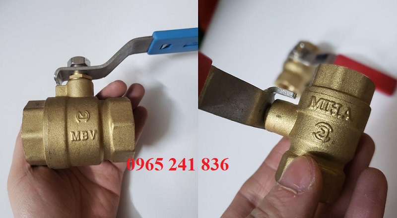 van_bi_dong_minh_hoa_viet_nam