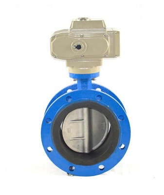 van_buom_dieu_khien_dien_2_mat_bich