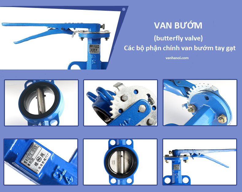 van_buom