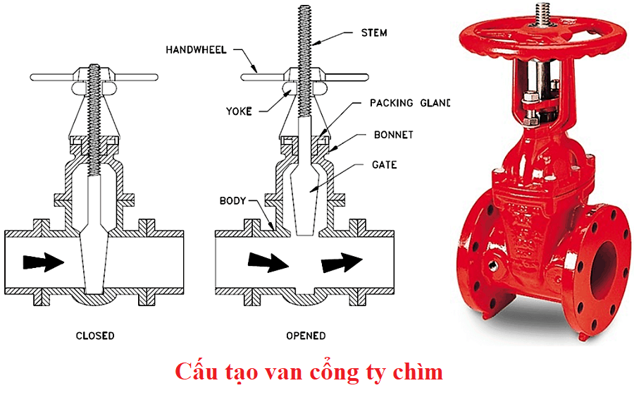 cau_tao_van_cong_ty_chim_la_gi