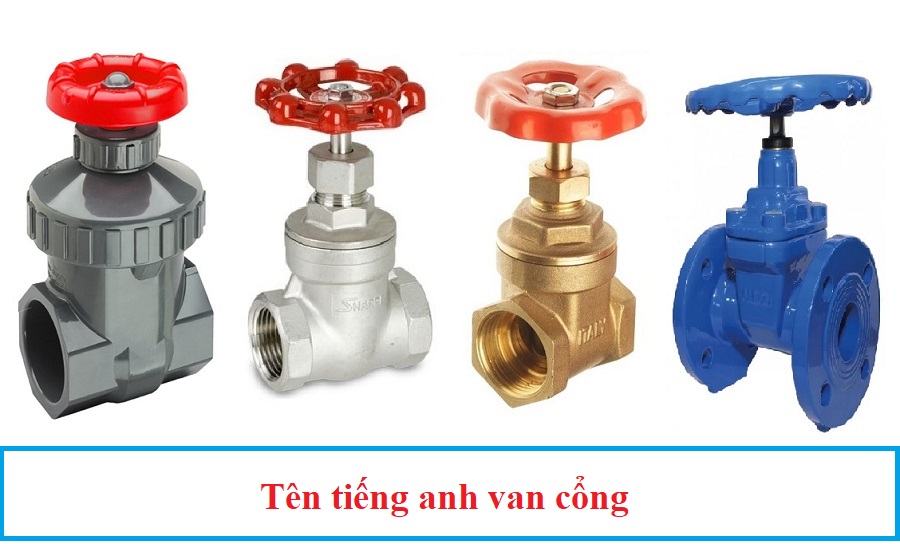 ten_tieng_anh_van_cong