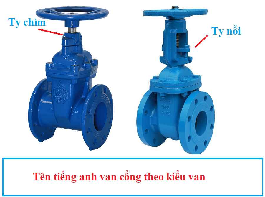 ten_tieng_anh_van_cong_theo_kieu_van