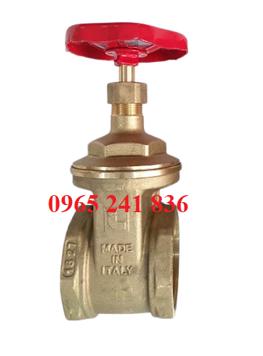 van_cong_dong_italia