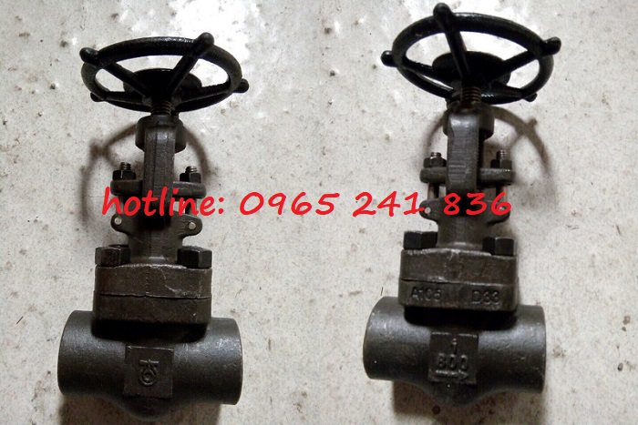 van_cong_thep_dn15_dn20_dn25_dn32_dn40_dn50