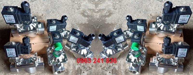 van_dien_tu_inox_316_italia