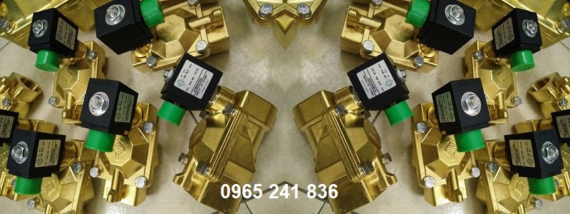 van_dien_tu_thuong_dong_24v_220v_italia