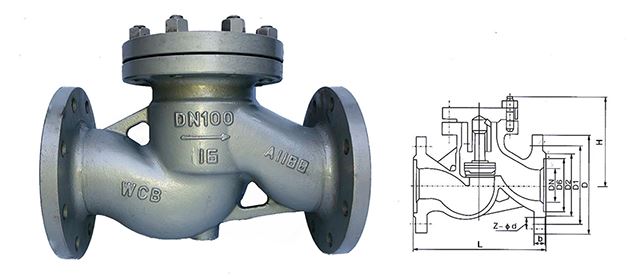 cau_tao_van_mot_chieu_hoi