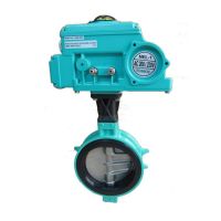 Van bướm điều khiển điện Nhật Bản