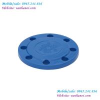 Mặt bích mù gang