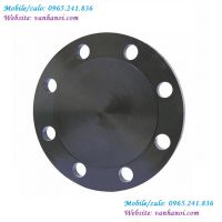 Mặt bích mù thép