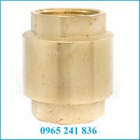 Van một chiều đồng lò xo