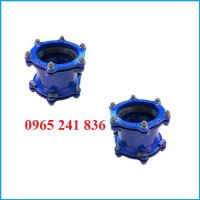 Khớp nối mềm FF gang