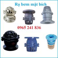 Rọ bơm mặt bích