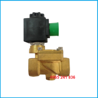 Van điện từ hơi nóng Italia