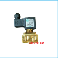 Van điện từ nước Italia