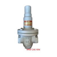 Van giảm áp hơi nóng nối ren YNV Hàn Quốc