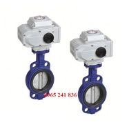 Van bướm điều khiển điện Malaysia